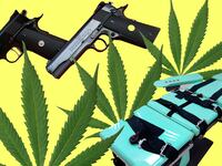 articles/2016/11/09/porn-and-pot-win-big-in-trumpocalypse/161108-barbie-other-issues-tease_dflhp4