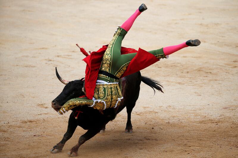 galleries/2016/07/14/running-of-the-bulls-photos/160714-running-bull7_shiynw