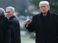Kevin McCarthy-Trump