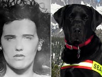 articles/2013/02/03/can-this-dog-solve-the-black-dahlia-homicide/130201-pelisek-black-dahlia-crime-scene-tease_xdtnik