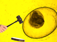 A180316-Brown--BrownNew-Embryo-Loss-Lawsuit-hero_copwny