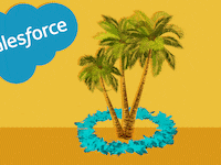 Illustration of a palm tree being lassoed by a lei, with a "Salesforce" logo in background