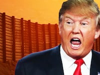 180705-ackerman-trump-immigration-tease_sztrl0