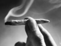 articles/2010/04/20/the-best-stoner-novels/munson-stoners_95344_ams1vr