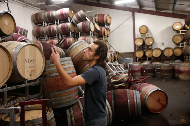 articles/2014/08/30/cleaning-up-from-napa-s-winepocalypse/140829-salcito-wine-tease_wqritp