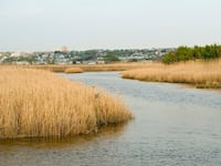 A view of the Hackensack River and the wetlands known as the Meadowlands in Secaucus New Jersey.