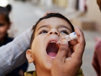 articles/2014/05/06/who-s-to-blame-for-global-polio-emergency/140506-polio-sepkowitz-tease_ndgiis