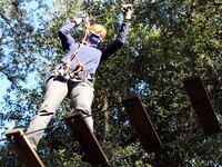 210306-tallahassee-tourism-hero_1_ab8doe