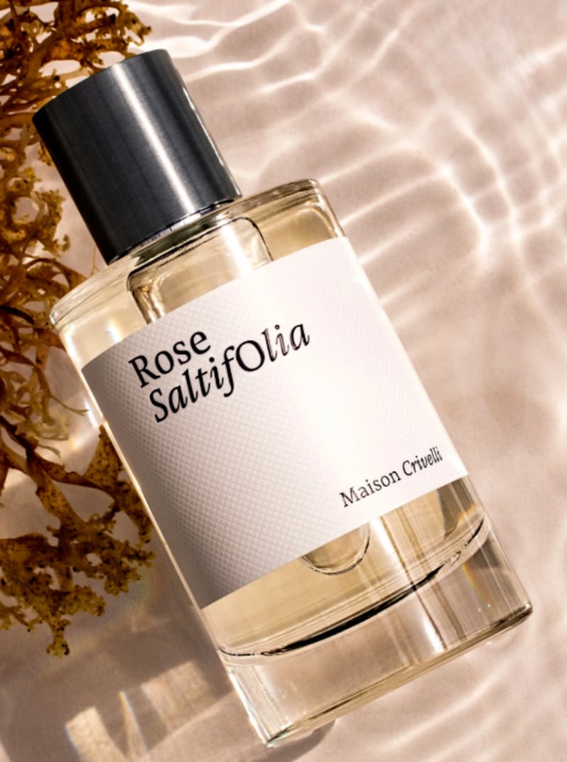 Maison Crivelli Rose Saltifolia