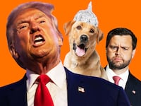 Photo Illustration of Donald Trump, JD Vance and an innocent dog.