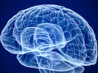 articles/2015/11/05/how-to-grow-a-brain/151105-coolman-brain-tease_jnmnnr