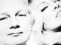 170527-zimmerman-pam-anderson-tease_tbocjx