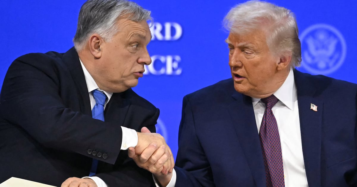 Trumps schockierender Plan zur Rettung seines besiegten MAGA-Verbündeten ...