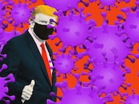 201029-banco-trump-herd-immunity-hero_u3awhy