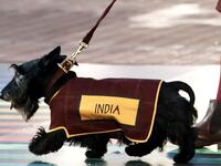 articles/2014/07/29/scottie-dogs-at-games-disrespectful-of-muslims/scottie_gxxygv