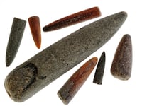 Fossil guards of belemnites / Belemnitida from Lyme Regis, Jurassic Coast, Dorset, southern England, UK. (Photo by: Arterra/Universal Images Group via Getty Images)