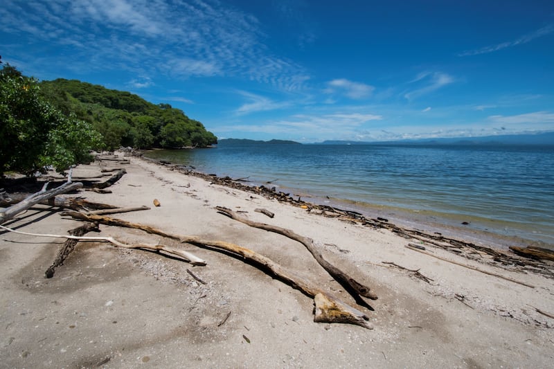 201211-brooklyn-costa-rica-embed2_zy9pon