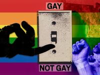 171116-Allen-florida-to-ban-conversion-therapy-hero__ksqlsl