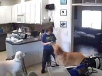 Home surveillance footage of Carly Gregg soon after killing her mother.
