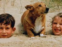 articles/2013/08/09/royals-and-royalist-on-vacation/corgis-hols_nssd8x