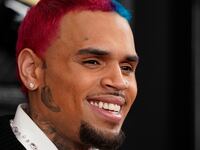 Chris Brown pictured at the 62nd Grammy Awards