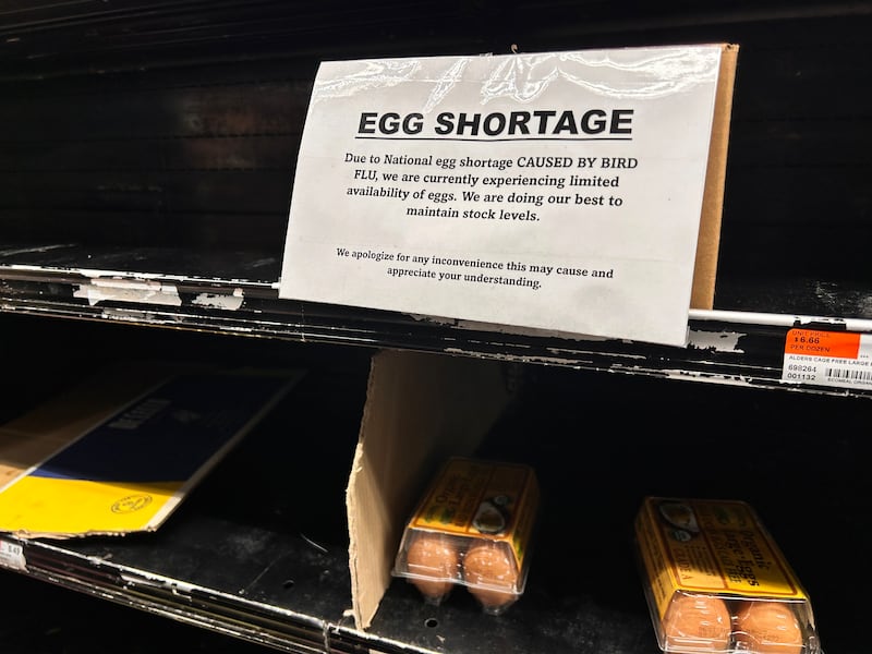 National Egg Shortage due to Bird Flu, sign on empty shelf at supermarket, Queens, New York.
