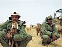 articles/2013/06/25/half-of-israeli-jews-think-government-is-wrong-on-bedouin-bill/Bedouin_Shepherd_ru68wu