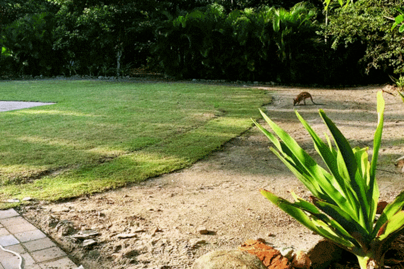 191102-brockway-whitsundays-double-1wallaby_oaopfn