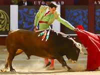 MALAGA, SPAIN - APRIL 19: The Minister of the Presidency of the Junta de Andalucia, Antonio Sanz, attends the Picassian bullfight held in the Plaza de Toros de La Malagueta, on April 19, 2025, in Malaga (Andalusia, Spain).
The Plaza de Toros de La Malagueta hosts this Easter Saturday the traditional Picassian bullfight. Bullfighters Saul Jimenez Fortes, Juan Ortega and Andres Roca Rey will fight bulls from the Alvaro Nuñez ranch in one of the emblematic events of the Malaga bullring. (Photo By Alex Zea/Europa Press via Getty Images)