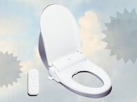 TUSHY Ace Electric bidget review