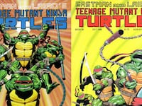 articles/2014/08/06/a-political-history-of-the-teenage-mutant-ninja-turtles/140806-swin-tmnt-tease_b0dcb7