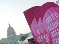 articles/2012/03/28/komen-kills-major-lobbying-day-urges-people-not-to-turn-backs-on-women/komen-cancels-lobby-day-pesta-tease_n04qub