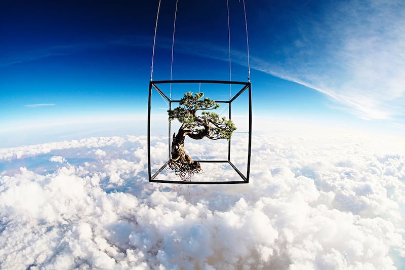 articles/2014/07/23/a-bonsai-tree-goes-to-space-for-art/140723-bonsai-space-embed2_gj47lz