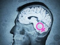 articles/2015/10/29/is-sexism-all-in-your-brain/151028-crocker-brain-sexism-tease_rgpryo
