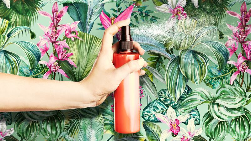 The Body Mist Review