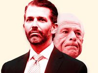 An illustration that includes photos of Donald Trump Jr and Peter Navarro
