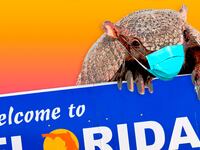 articles/2015/07/22/spitting-armadillos-spread-leprosy-in-florida/150721-lytton-florida-tease_gmdqxx
