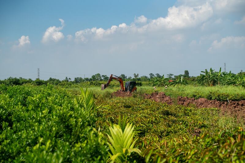 Construction machine is seen on the farmland, currently cultivating longans, dragon fruits, durians, and jackfruit trees, soon to be transformed into a luxury golf course, in Khoai Chau district, Vietnam on September 4, 2025.