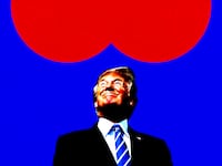 Donald Trump photo illustration