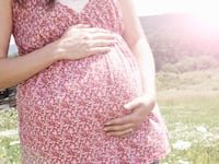 articles/2011/11/18/can-pregnant-moms-mold-their-babies-with-ssris-microwaves-cellphones/pregnancy-risks-rufus_hpqvfk
