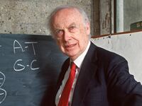 James Watson in 1993